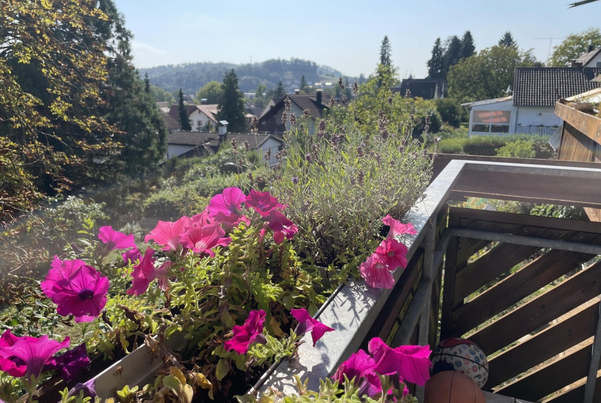 Aussicht vom Balkon